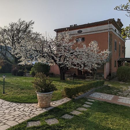 Dimora Marella Patrica - Frosinone Ξενοδοχείο Εξωτερικό φωτογραφία
