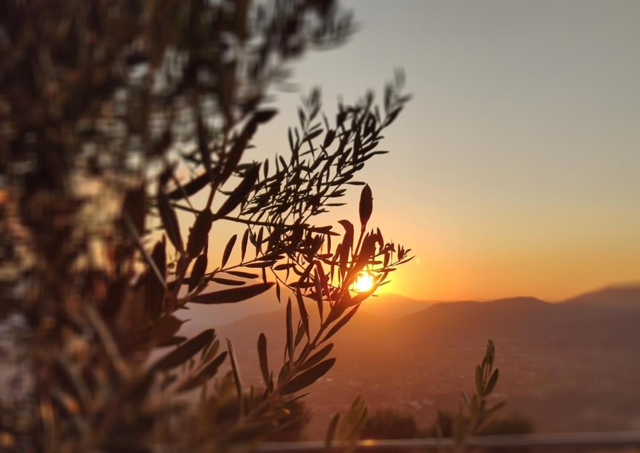 Dimora Marella Patrica - Frosinone Ξενοδοχείο Εξωτερικό φωτογραφία